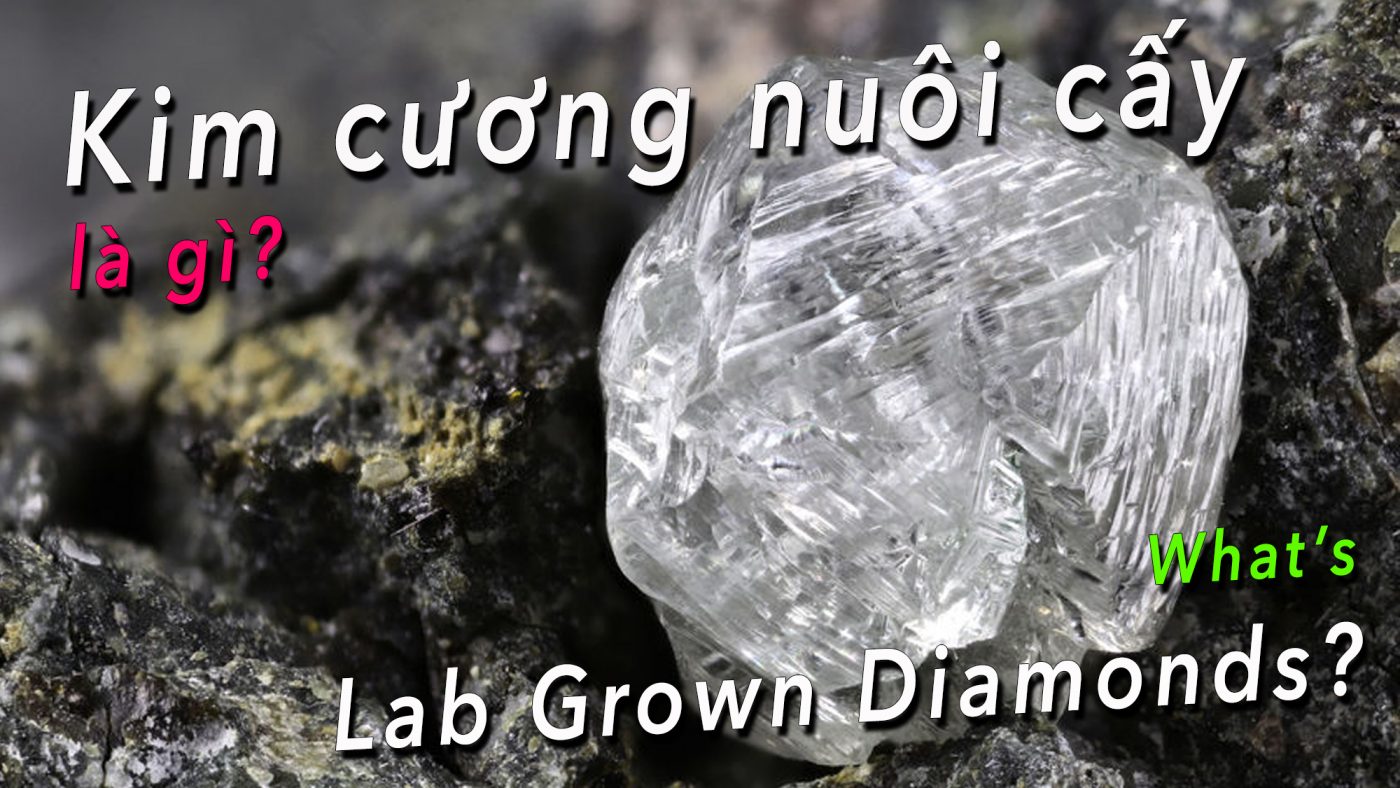 Kim cương nuôi cấy - Lab grown diamonds là gì?