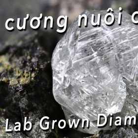 Kim cương nuôi cấy - Lab grown diamonds là gì?